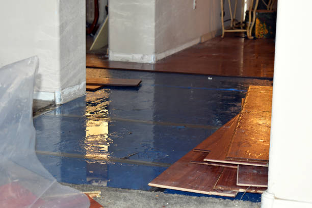 Professional Basement Flooding technician working in Crescent City, FL
